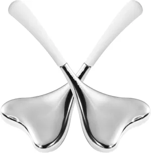 Face Massager Skin Care Ice Globes for Face Stainless Steel Face Beauty Tools V-Shaped Gua Sha Facial Tools for Women Esthetician Supplies Cooling Spa Globes with Storage Case, ice roller