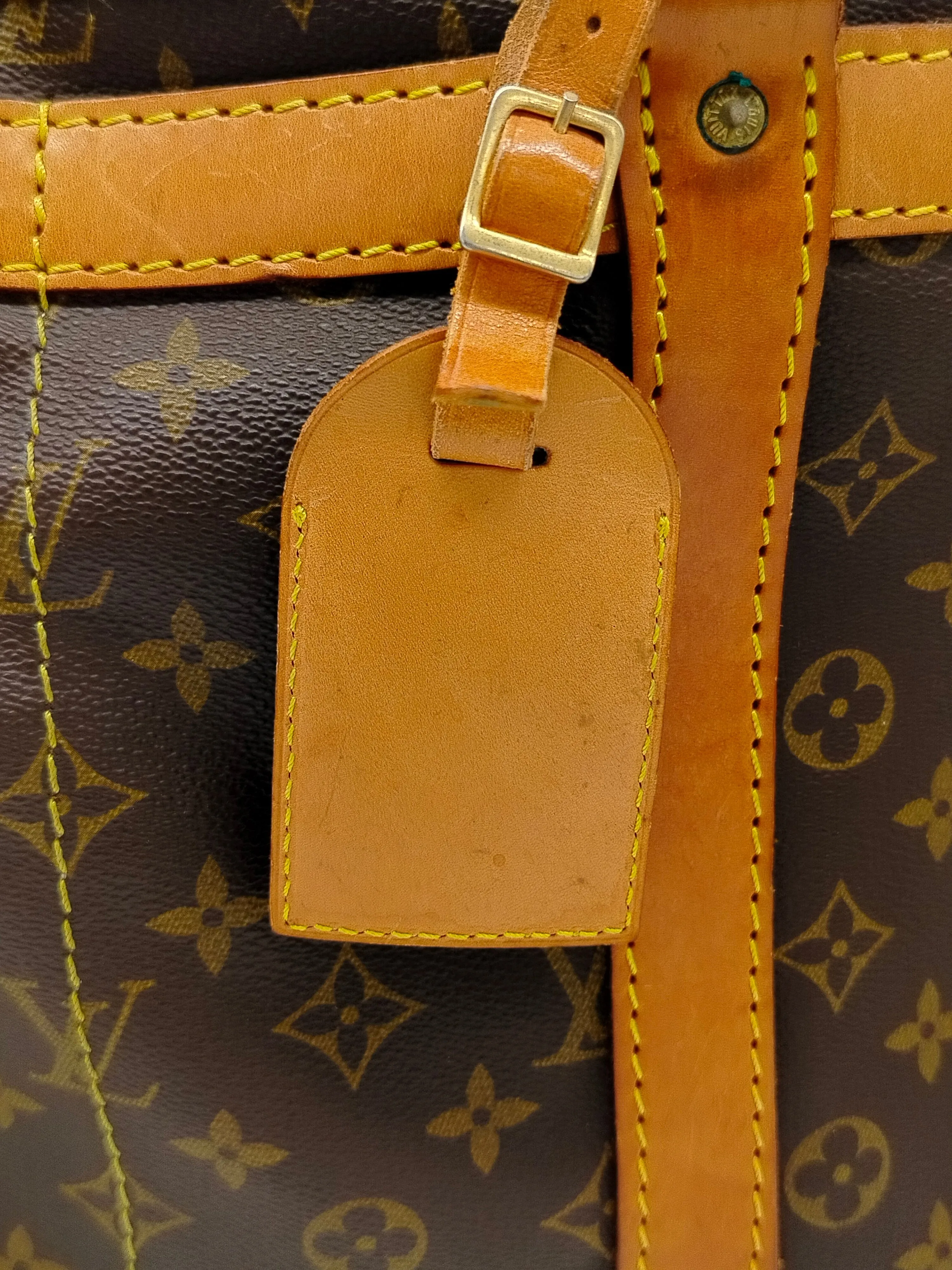 Louis Vuitton 50 Monogram Dog Carrier - '80s