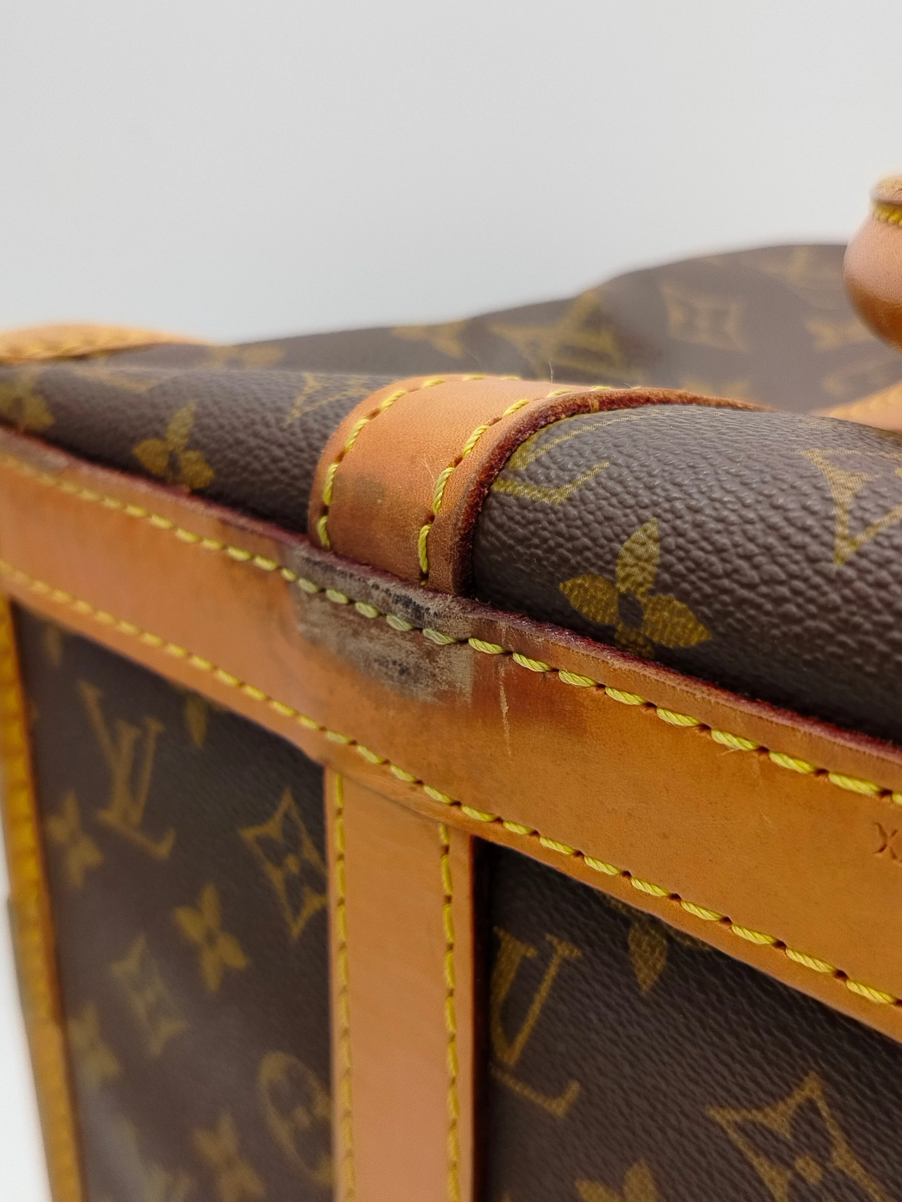 Louis Vuitton 50 Monogram Dog Carrier - '80s