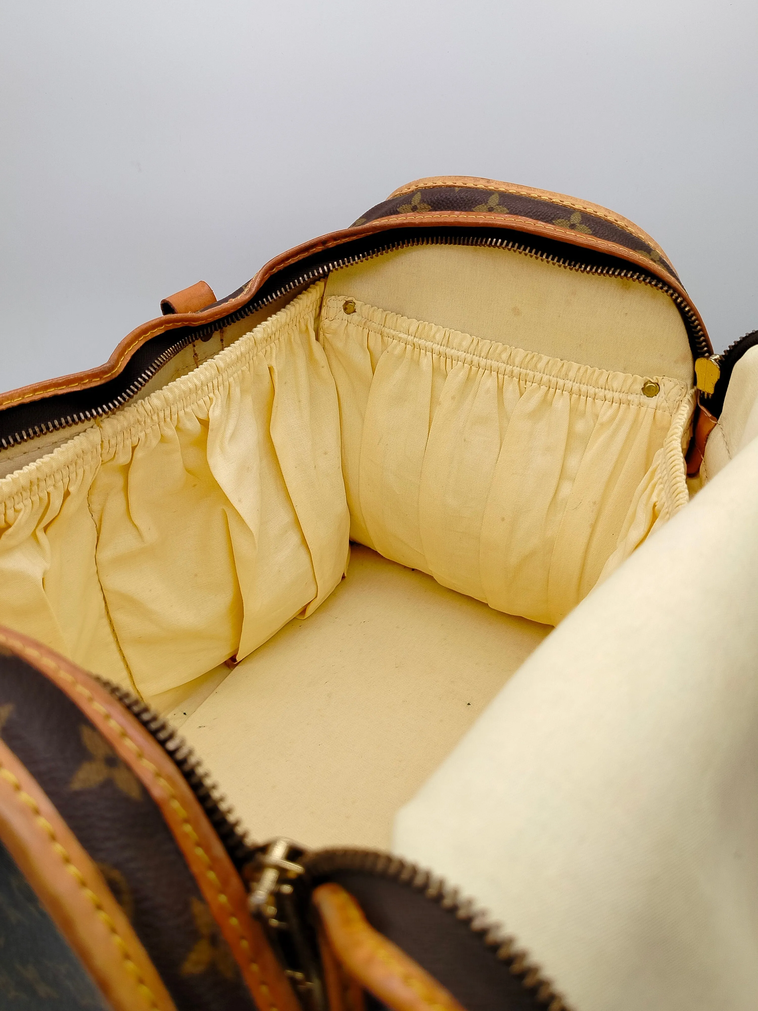 Louis Vuitton 50 Monogram Dog Carrier - '80s