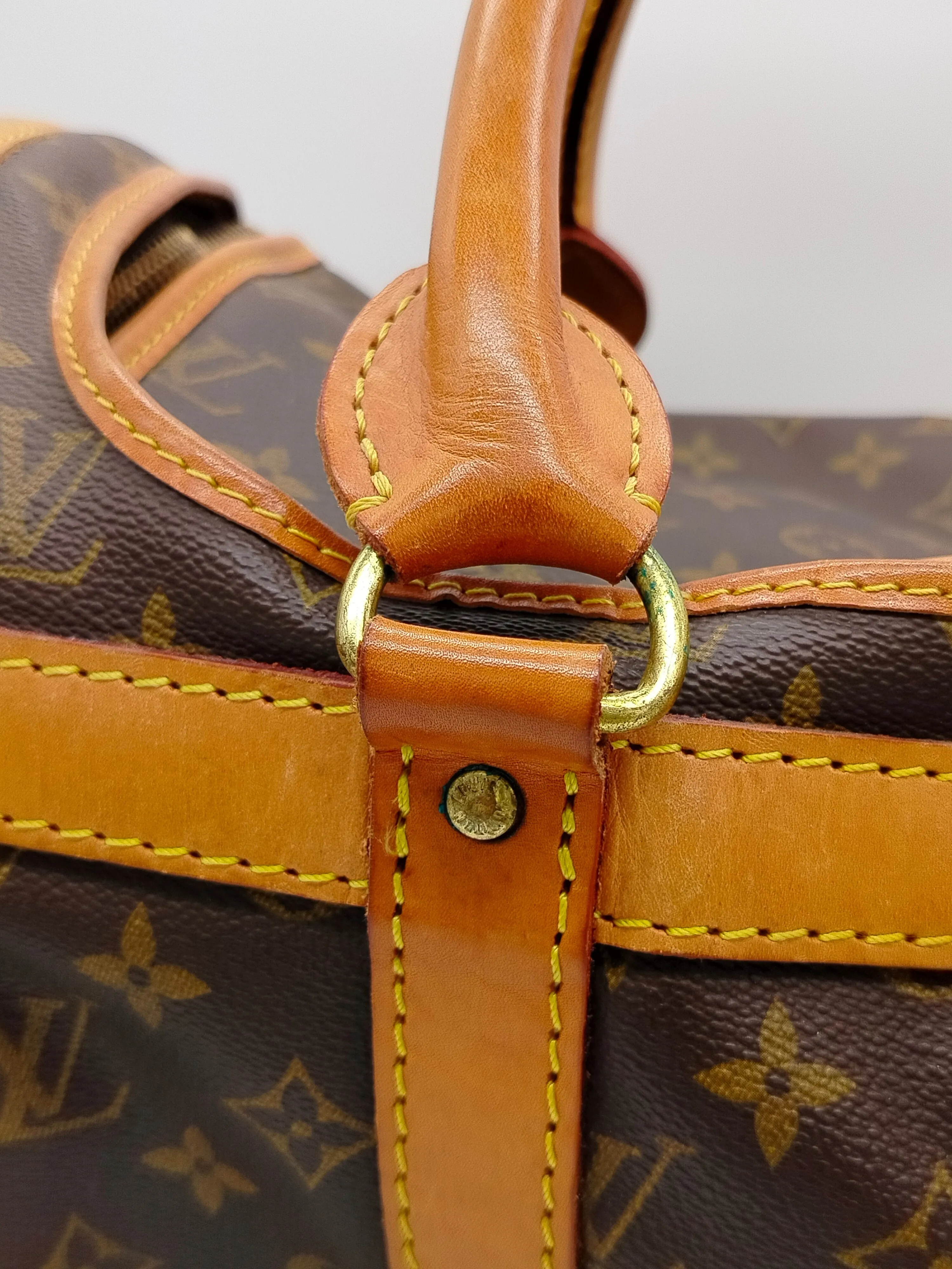 Louis Vuitton 50 Monogram Dog Carrier - '80s