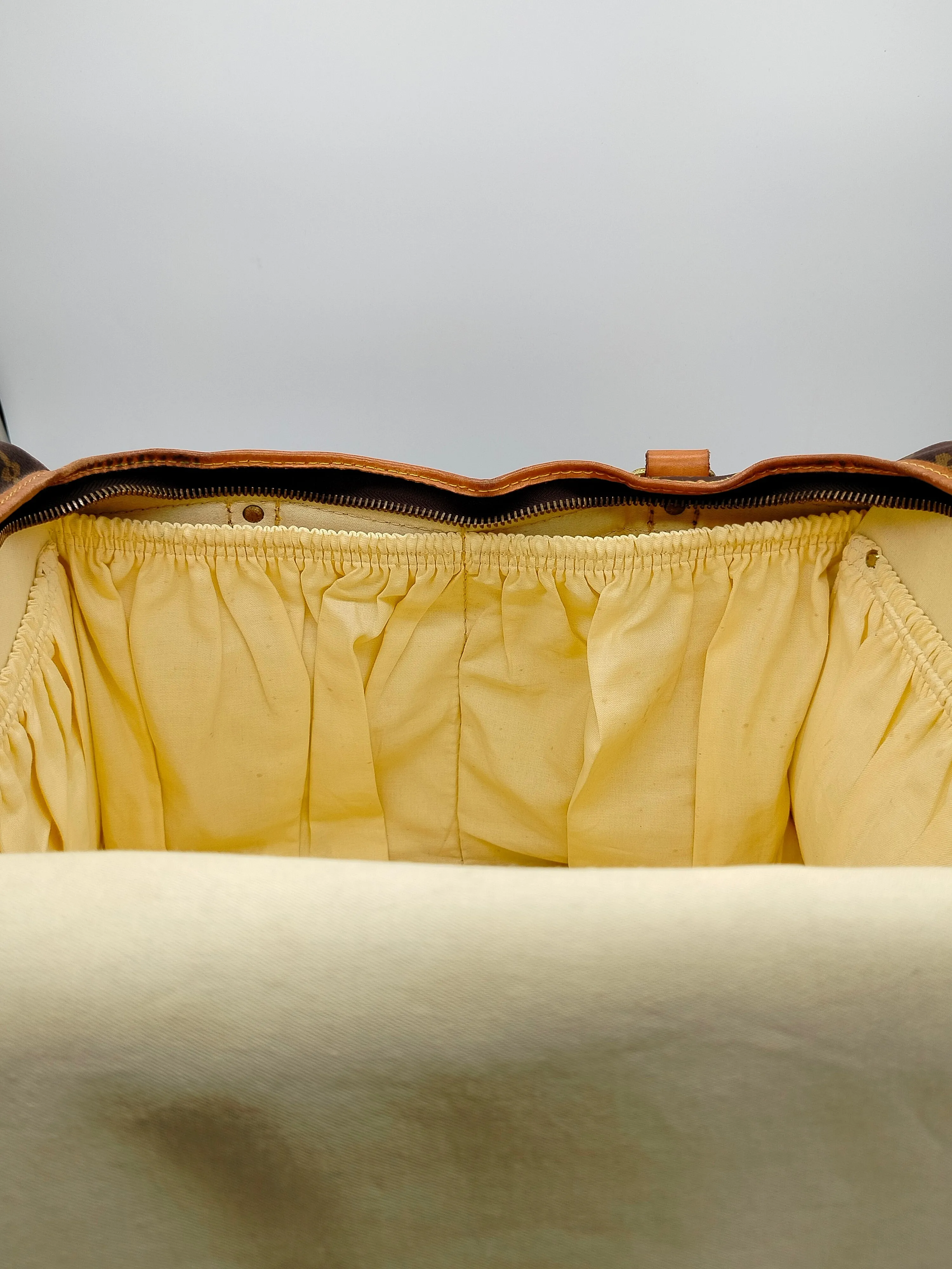 Louis Vuitton 50 Monogram Dog Carrier - '80s