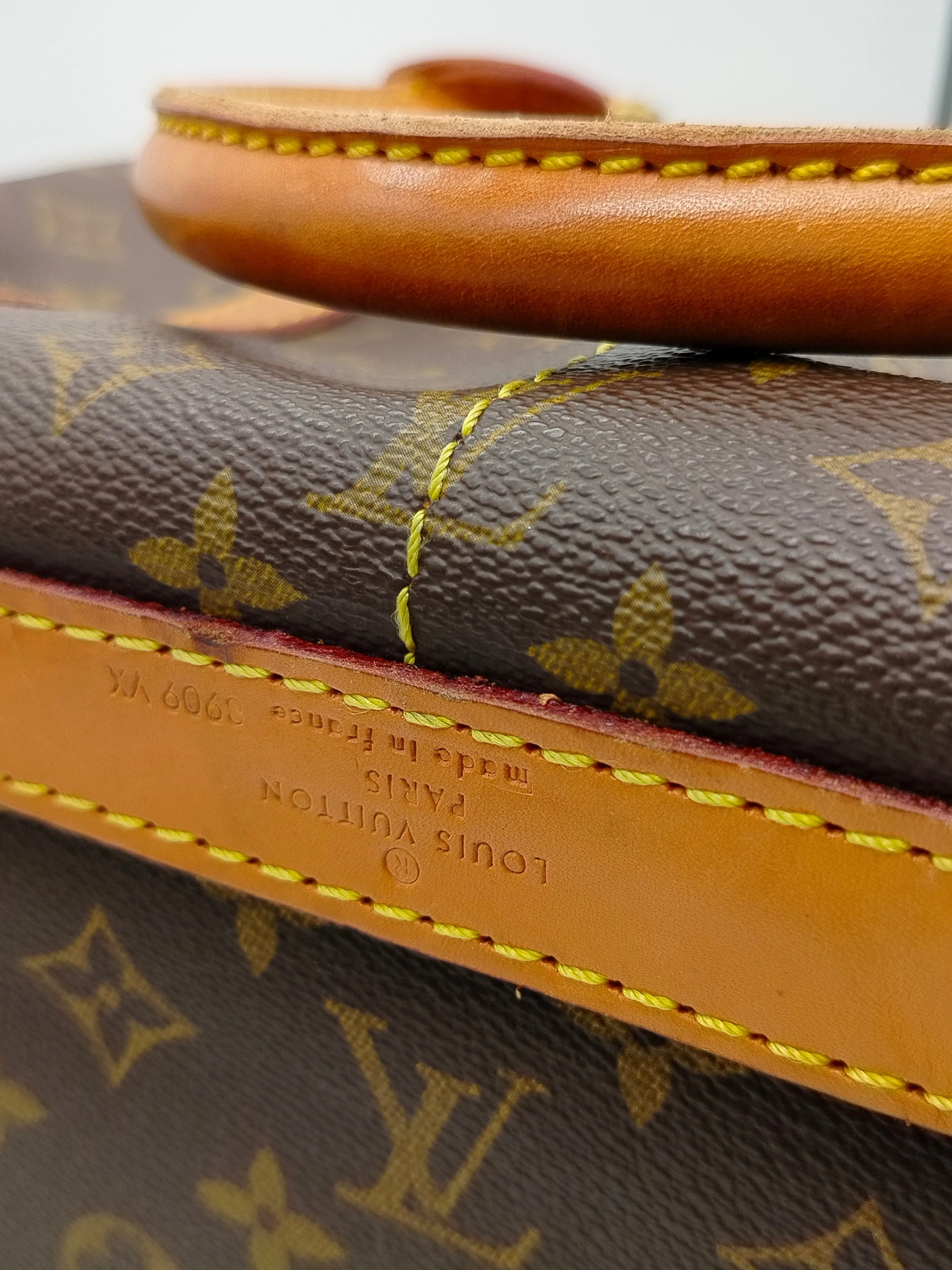 Louis Vuitton 50 Monogram Dog Carrier - '80s