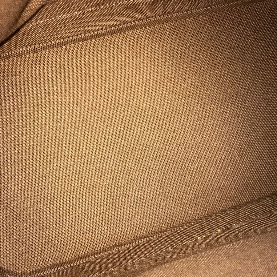 LOUIS VUITTON Handbag