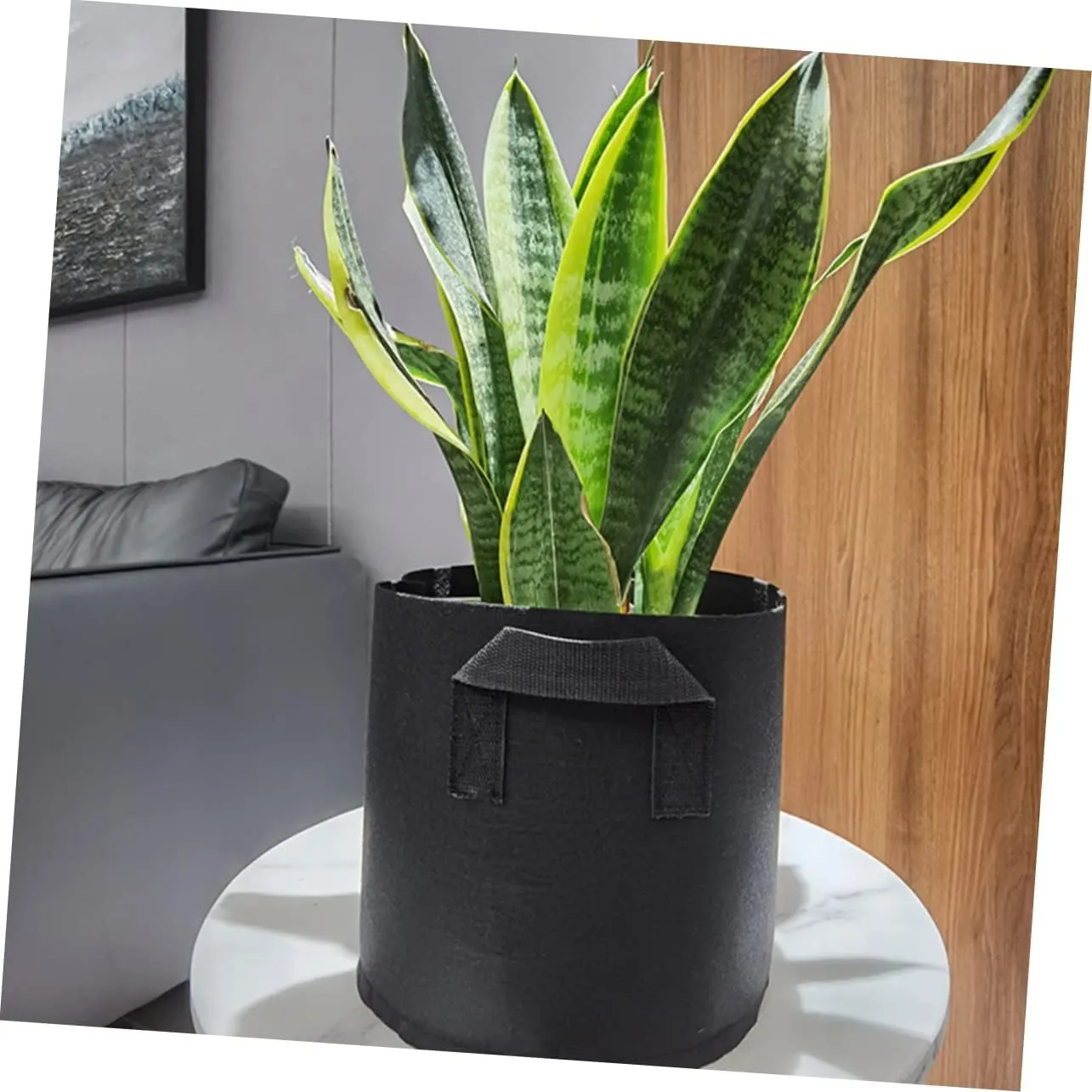 Sosoport 3sets Nonwoven Pe Grow Bags Planting Bag Set Seedling Grow Bags Plant Bag Non-Woven Flower Pot Planting Bag Handle for Garden Vegetable Planting Container 3pcs*3