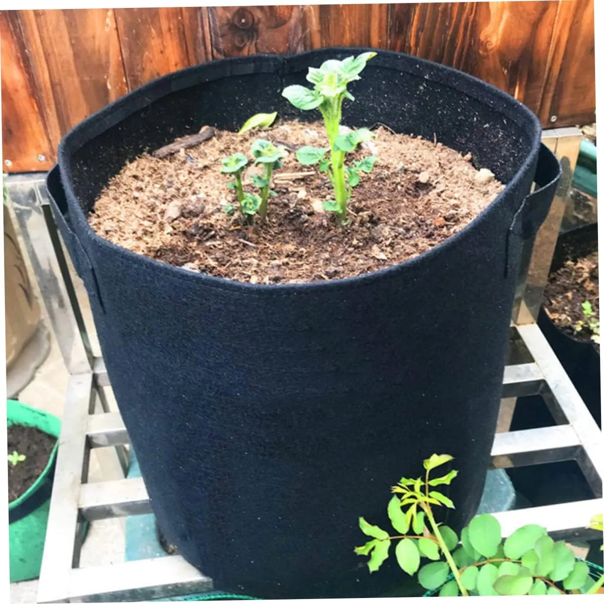 Sosoport 3sets Nonwoven Pe Grow Bags Planting Bag Set Seedling Grow Bags Plant Bag Non-Woven Flower Pot Planting Bag Handle for Garden Vegetable Planting Container 3pcs*3