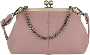Women's Kiss Lock Crossbody Bag Small Kiss Clasp Crossbody Shoulder Bags Tote Purse Messenger Handbag